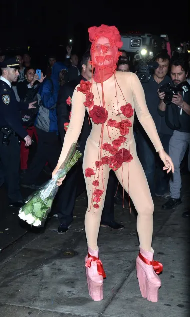 Ponovno fotografirana ispred plesne dvorane Roseland Ballroom u New Yorku na početku svoje sedmodnevne serije koncerata u 2014., Lady Gaga nosila je prozirno odijelo ukrašeno crvenim ružama. Na nogama je imala neobične ružičaste štikle na visoku platformu koje su se savršeno uklopile u outfit. 