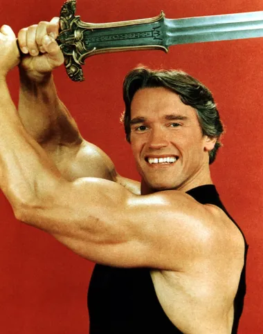 Guverner Kalifornije i najslavniji bodybuilder na svijetu nije imao aferu s dadiljom, ali je dobio dijete s kućnom pomoćnicom tijekom braka s Mariom Shriver. Deset godina nakon što je ona zatražila raskid braka još uvijek se nisu razveli, pa je njihov brak okončan tek 2011. godine iako je cijela afera bila u medijima početkom 2000-ih. Najgore u cijeloj priči je to što je njegova nevjera otkrivena već kada mu je vanbračni sin imao 6 godina te je počeo jako nalikovati slavnom ocu. 