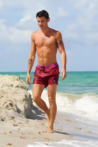 Kanadski pjevač i zavodnik mlađe generacije, 24-godišnji Shawn Mendes, definitivno privlači poglede kamo god krenuo, a tako je i kada se pojavi na plaži. Paparazzi su ga uslikali nakon kupanja, a na odličnoj figuri mogle bi mu pozavidjeti i brojne druge zvijezde. Poznat po hitovima kao što su &quot;Stitches&quot;, &quot;Mercy&quot; i &quot;Señorita&quot;, Mendes osvaja glazbenu scenu, a osvojio je i srce pjevačice Camile Cabello, s kojom je na kraju prekinuo u studenom 2021.
