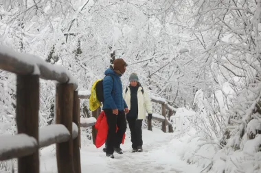 Stoga, dobro se obucite i pravac Plitvice. Prava je šteta propustiti nešto ovako lijepo čime nas priroda časti.