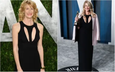 Laura Dern nosila je ovu crnu haljinu bez rukava s izrezom više puta tijekom godina. Prvi je put fotografirana u crnoj haljini 1995. kada je prisustvovala gala svečanosti u čast Whoopi Goldberg. Ponovno je nosila istu haljinu na Oscar Vanity Fair zabavi 2013., ali i na istoj zabavi 2020. godine, kada je osvojila svog prvog Oscara za najbolju sporednu glumicu u filmu &apos;Priča o braku&apos;.