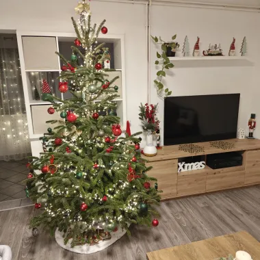 Božićno jutro u domovima naših čitateljica - 30 predivnih fotografija