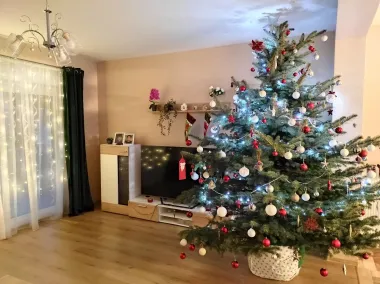 Božićno jutro u domovima naših čitateljica - 30 predivnih fotografija
