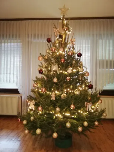 Božićno jutro u domovima naših čitateljica - 30 predivnih fotografija