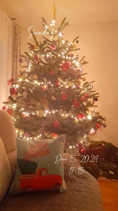 Božićno jutro u domovima naših čitateljica - 30 predivnih fotografija