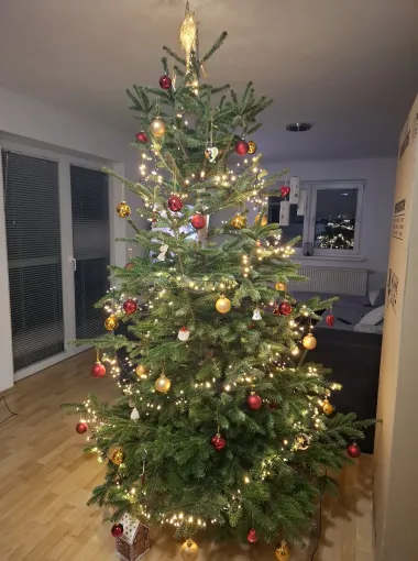 Božićno jutro u domovima naših čitateljica - 30 predivnih fotografija