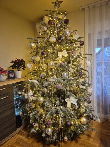 Božićno jutro u domovima naših čitateljica - 30 predivnih fotografija