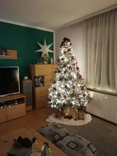 Božićno jutro u domovima naših čitateljica - 30 predivnih fotografija