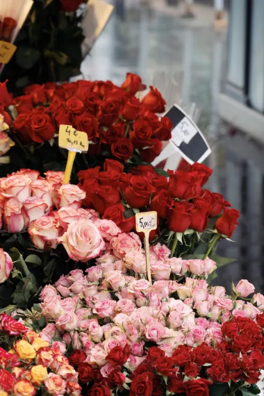 Kišno Valentinovo u centru Zagreba - mnogi su se odlučili za romantiku