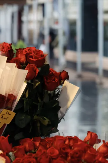 Kišno Valentinovo u centru Zagreba - mnogi su se odlučili za romantiku