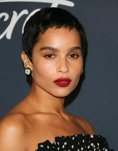 Američka manekenka u jednom je trenutku imala jednu od najdužih kosa u Hollywoodu i izgledala je zaista nevjerojatno, a onda nas je u potpunosti iznenadila kada ju je ošišala i dugo vremena nosila kratki pixie - bilo u svojoj prirodnoj crnoj kosi ili u izblajhanoj varijanti.