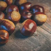 Kesteni čekaju na nas. Znaš li što sve možeš napraviti od njih? Imamo recepte