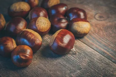 Kesteni čekaju na nas. Znaš li što sve možeš napraviti od njih? Imamo recepte