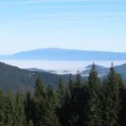 Što ćemo ovaj vikend?
