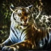 Kineski horoskop za 2010. – godina Tigra