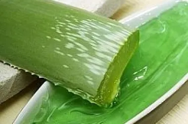 Aloe vera pomaže očuvanju zdravlja cijelog tijela