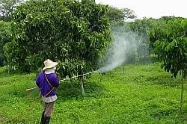 Koliko su pesticidi opasni i gdje se sve skrivaju?