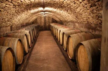 Predikatna vina