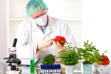 Kome vjerovati kad se radi o GMO?