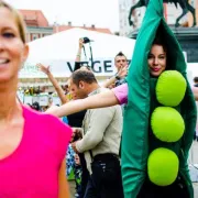 9. ZeGeVege festival