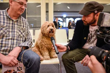 Uskoro izbor za glavnu njušku Westgatea