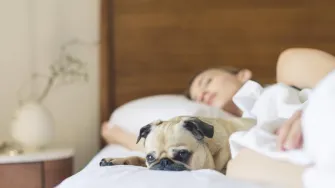 Hrčeš? Ovi savjeti će ti pomoći da prestaneš s noćnim "simfonijama"