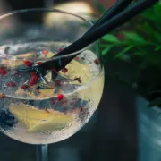 Vrijeme je za gin tonic! Evo kako ga učiniti savršenim