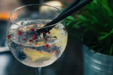 Vrijeme je za gin tonic! Evo kako ga učiniti savršenim
