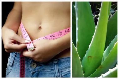 Čarobna biljka: napitak od aloe vere pomaže i kod mršavljenja