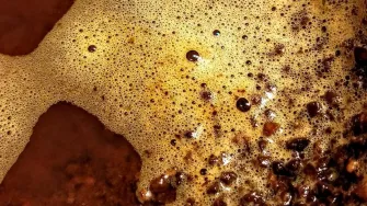 Savjeti kako iskoristiti talog od kave