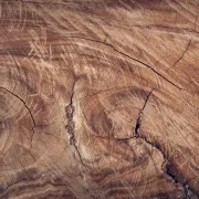 Koje boje idu uz smeđu?