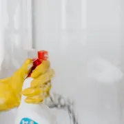 Kako se riješiti plijesni u tuš kabini?