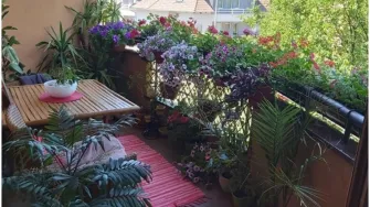 Balkon naše čitateljice Olje ovog je tjedna ponio titulu najljepšeg balkona