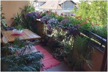Balkon naše čitateljice Olje ovog je tjedna ponio titulu najljepšeg balkona