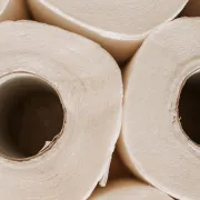 Kako iskoristiti role od wc papira?