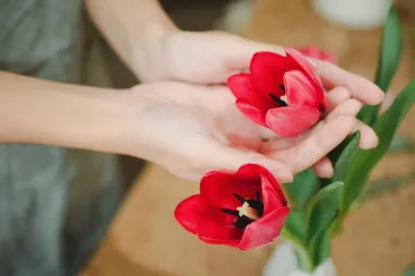 Super trikovi uz koje će tulipani u vazi trajati puno dulje