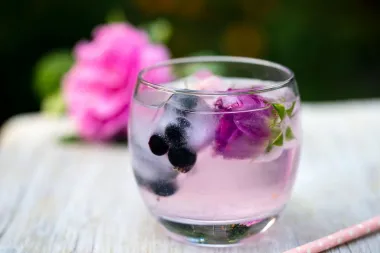 Odlične vijesti! Gin je proglašen najzdravijim alkoholnim pićem na svijetu