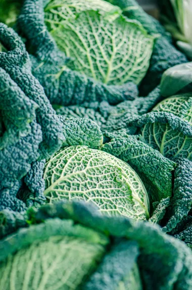 Želiš se riješiti viška kilograma? Počni jesti ove namirnice