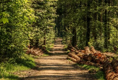 Kako stres može utjecati na debljanje i naslage oko struka (i što učiniti s njim)