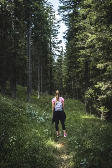 Sezona krpelja - ovo su simptomi ugriza na koje treba obratiti pažnju