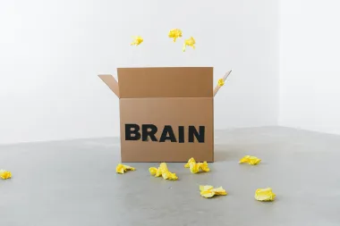 Zašto je ženski mozak osjetljiviji na bolesti - od anksioznosti do Alzheimera