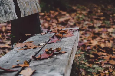 Citati koji nas podsjećaju zašto je jesen najčarobnije doba