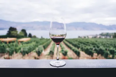 Dame, živjeli: Evo koje su prednosti crnog vina za žensko zdravlje