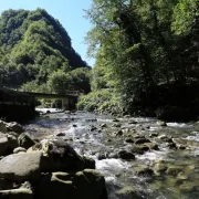 Biser Gorskog kotara:  Zeleni vir savršena je destinacija za jesenski izlet