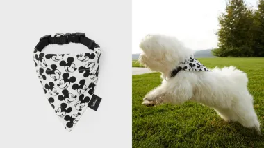 Osvojila nas je Stradivarius Mickey Mouse kolekcija za kućne ljubimce