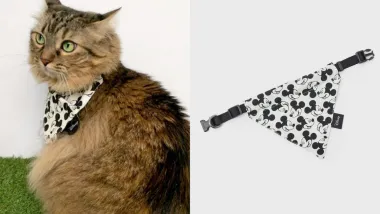 Osvojila nas je Stradivarius Mickey Mouse kolekcija za kućne ljubimce