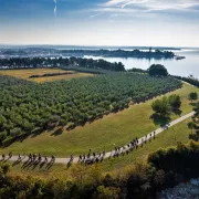 Istra je ujesen čudesna, a pogotovo posjetiš li i vinsku cestu