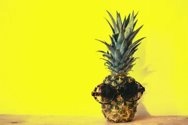 Želiš li dozu egzotike u svome domu, uzgoji ananas. Evo kako
