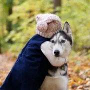 Ovo su najtvrdoglavije pasmine - ali su i tako slatke