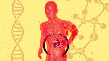 Važno ih je prepoznati: Pet znakova da tvoja jetra ne radi dobro
